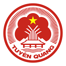 Vá vỏ