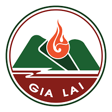 Vá vỏ
